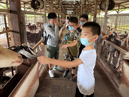 During school holidays, we take our children to the farm and walk into small animals